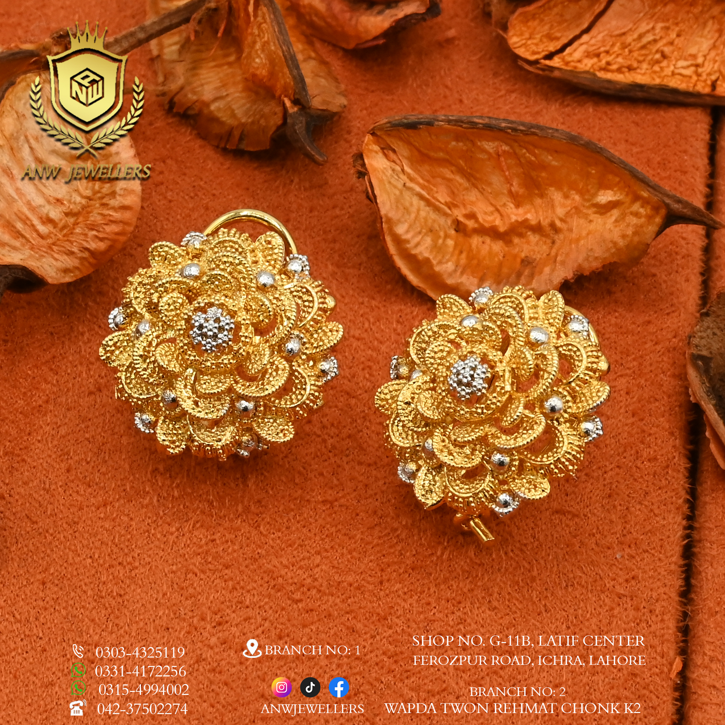Earrings